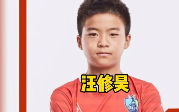 汪修昊造假案曝光