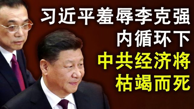 其实一个中老年人网红有一批骨灰级死忠粉，属实是触及到我的知识盲区了