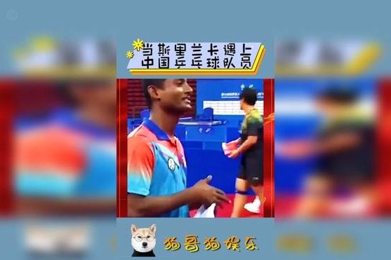 网红教练中冠折戟，球迷笑看不喊下课