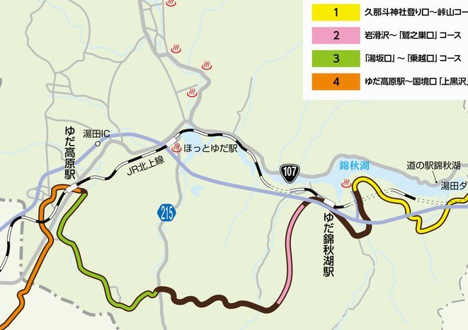 董大师的巴西之旅：国际舞台上的哪些“后悔点”？