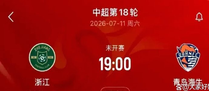 中超浙江队VS武汉三镇赛因台风延期