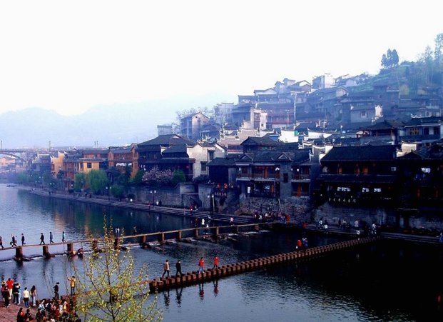 凰家看台｜邹市明复出，图啥？