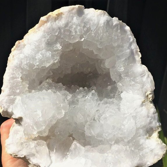 世体：阿德耶米和戈登让弗里克微笑，他们能让巴萨快准狠