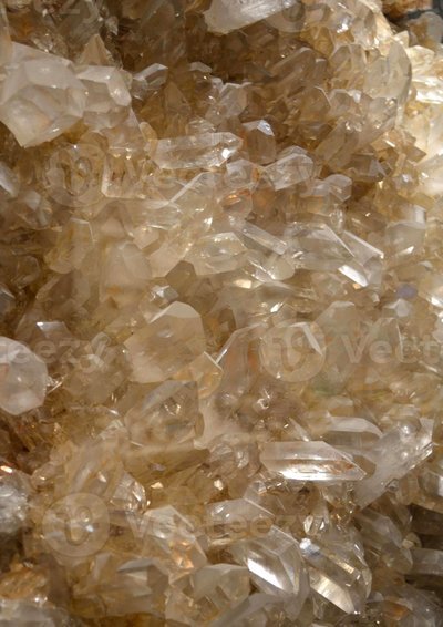 世体：阿德耶米和戈登让弗里克微笑，他们能让巴萨快准狠