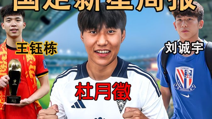 数据背后的群体迷思：解读“刘凯源就是刘诚宇踢法”现象